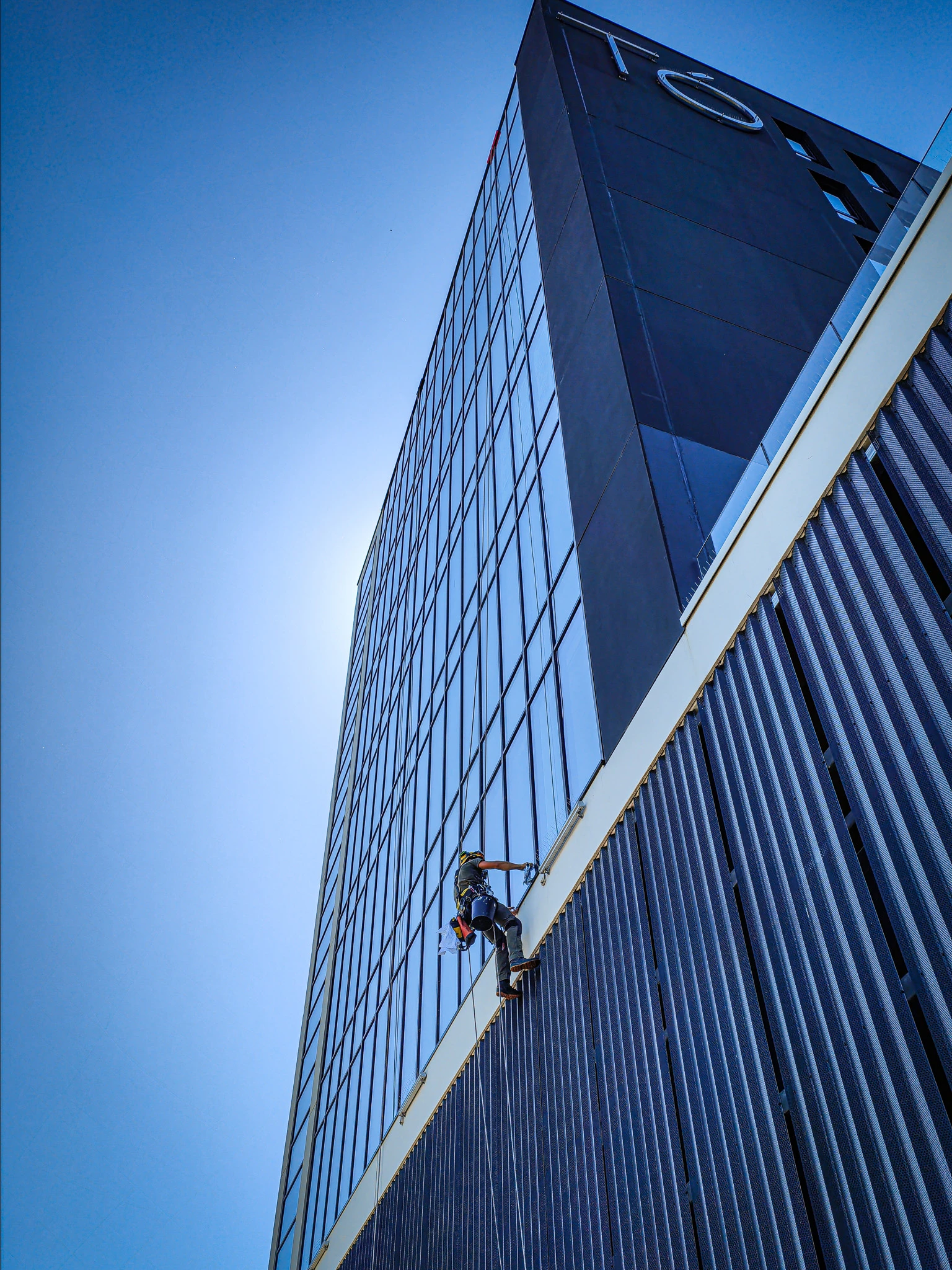 Intervention de cordistes MS Access pour vue dégagée chez BOR ROCADE à Villenave-d'Ornon (bâtiment) – 7